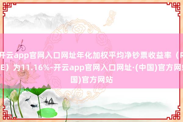 开云app官网入口网址年化加权平均净钞票收益率（ROE）为11.16%-开云app官网入口网址·(中国)官方网站