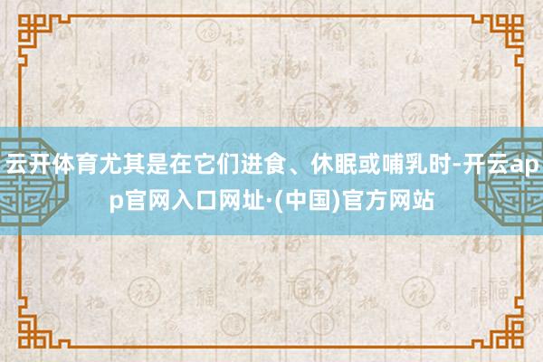 云开体育尤其是在它们进食、休眠或哺乳时-开云app官网入口网址·(中国)官方网站